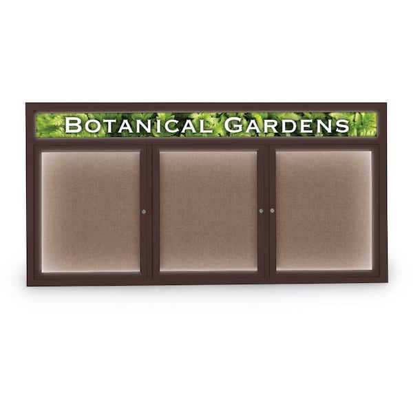 Open Faced Traditional Rounded Corkboard